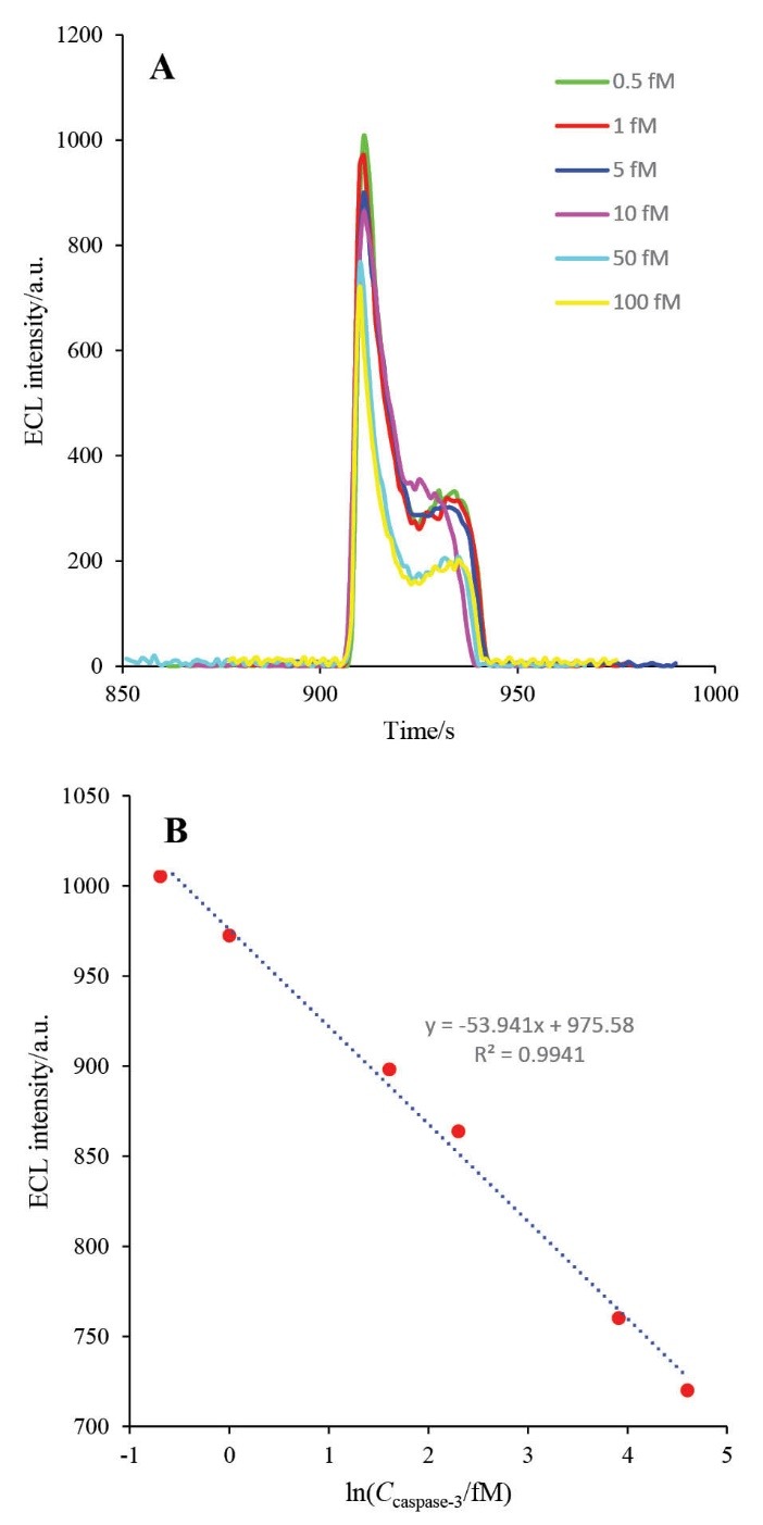 
Fig. 12
