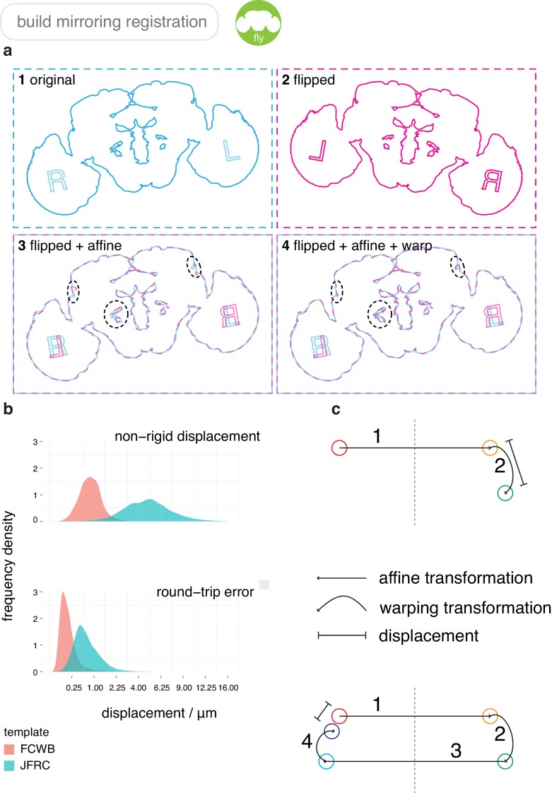 Figure 5—figure supplement 1.