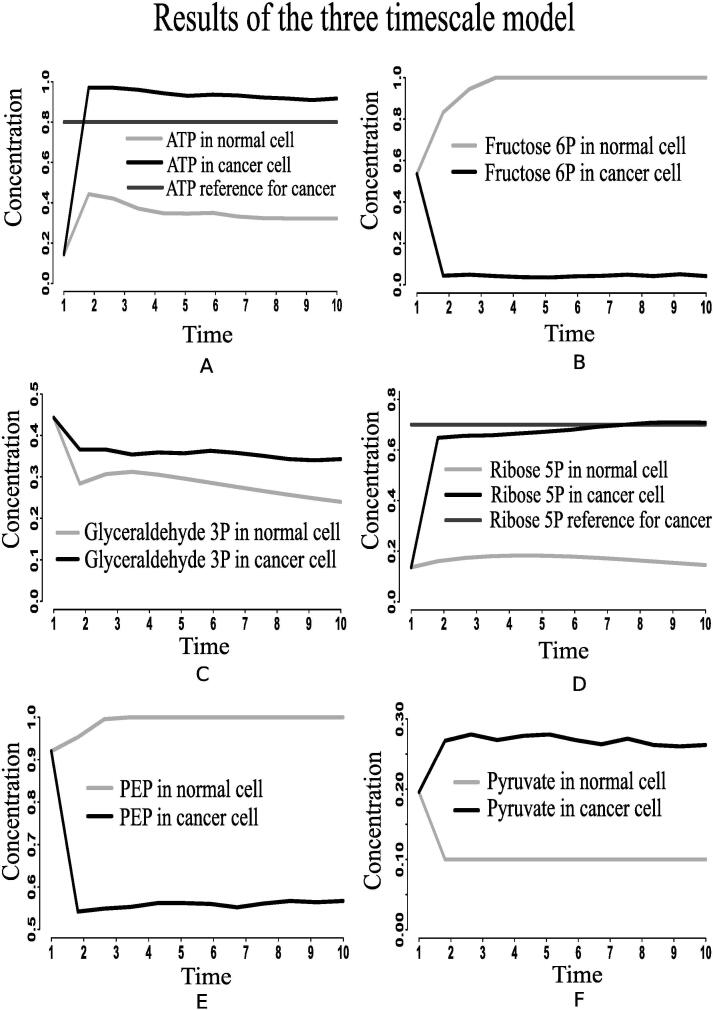 Fig. 8