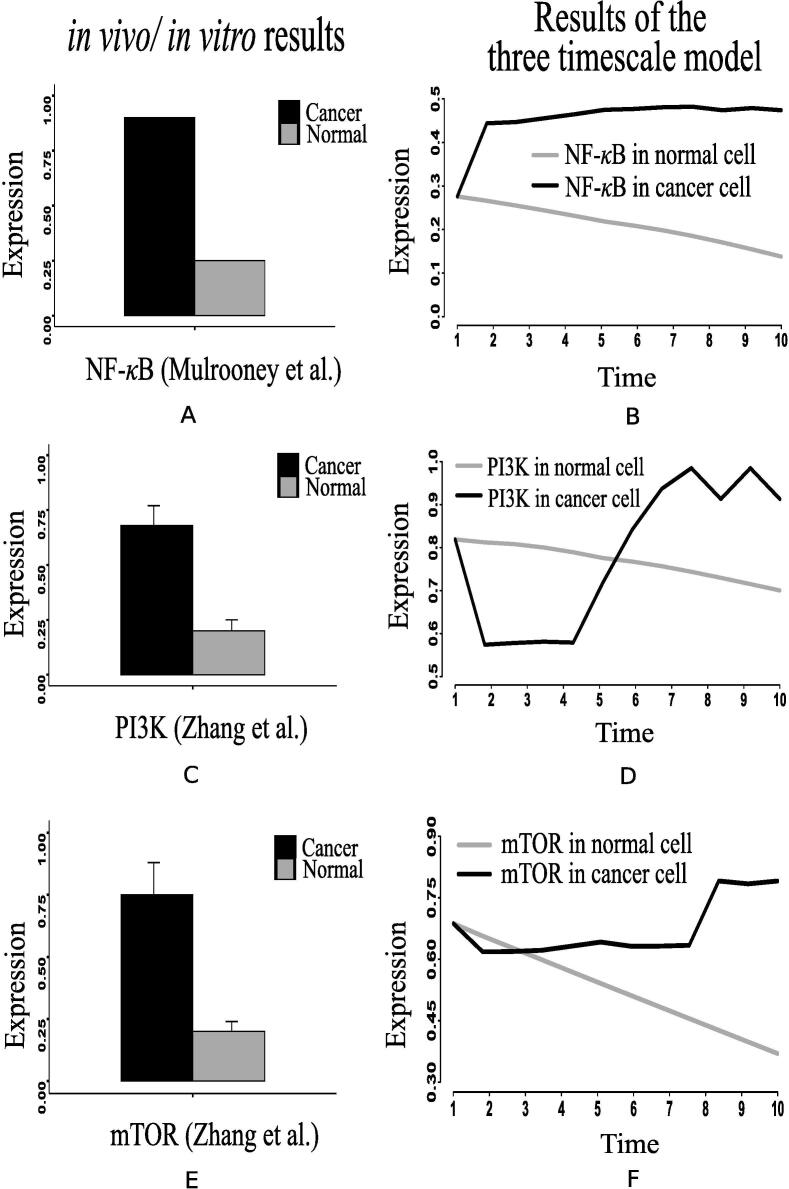 Fig. 11