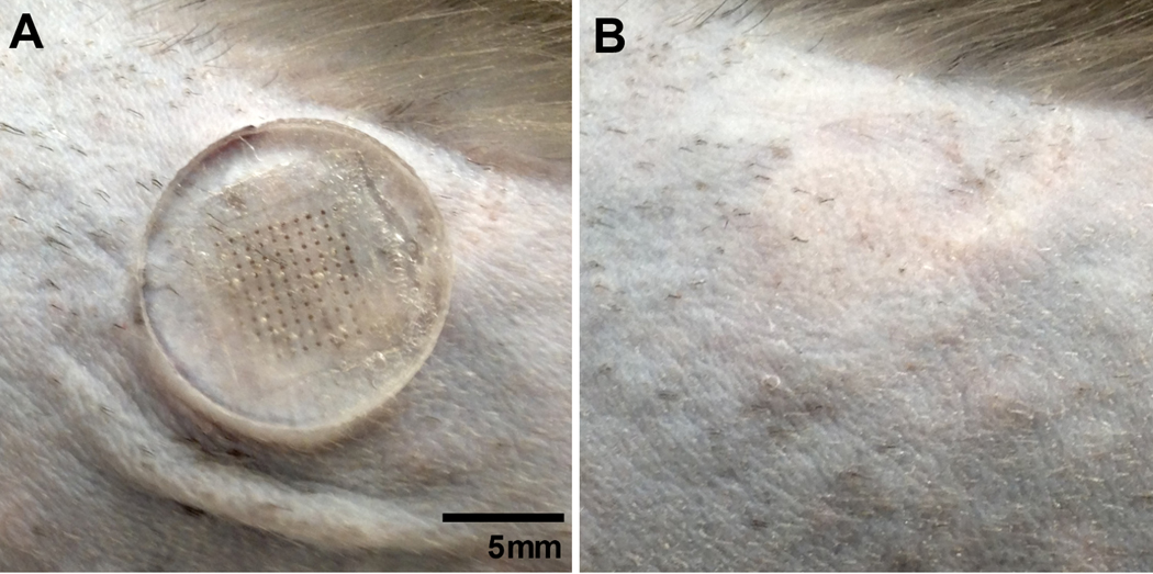 Fig. 5.