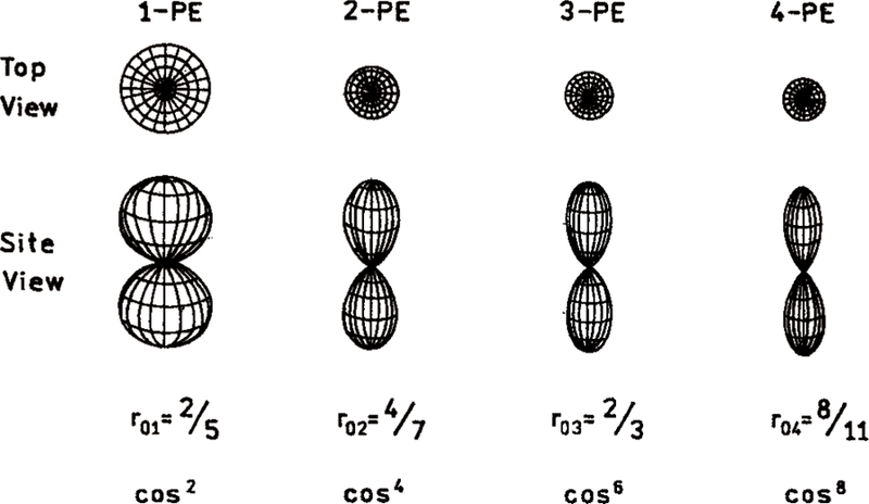 Figure 11.