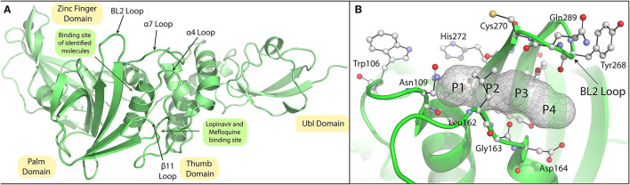 Figure 11