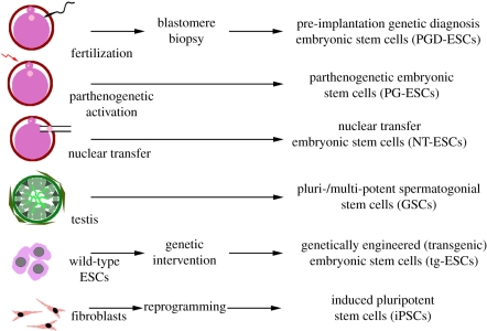 Figure 1.