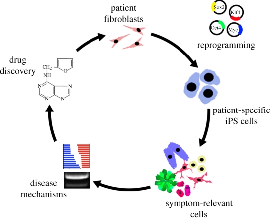 Figure 2.