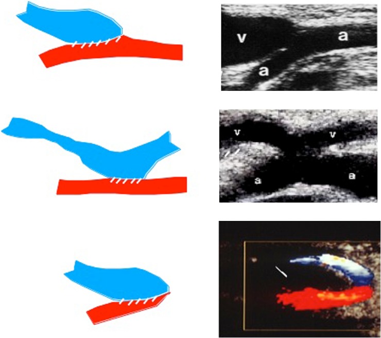 Fig. 4