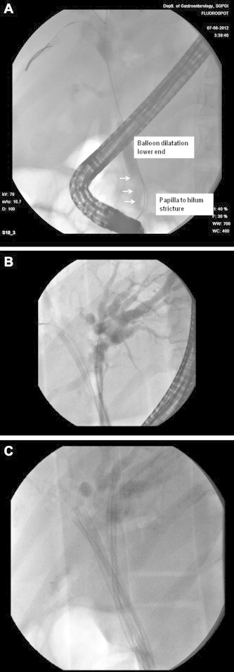 Figure 1