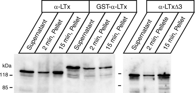 
Figure 11.
