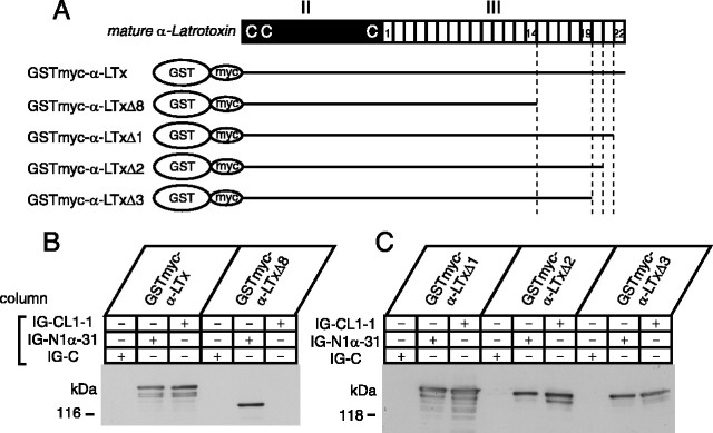 
Figure 9.
