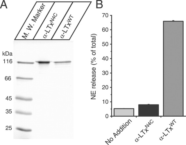 
Figure 12.
