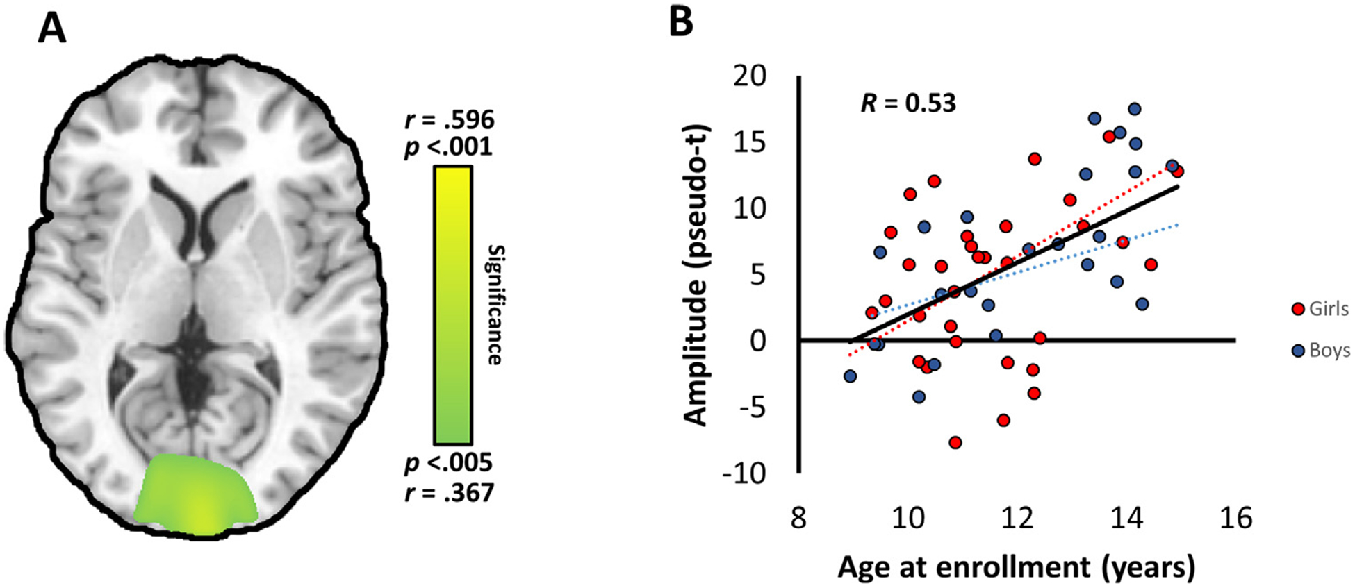 Fig. 3. –