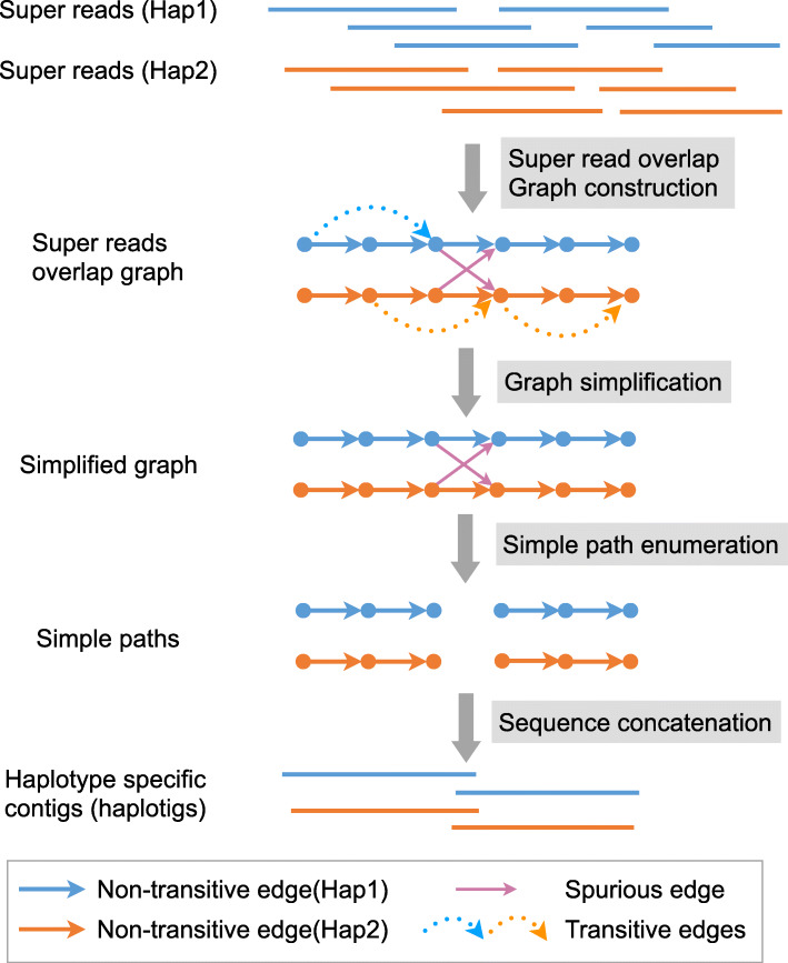 Fig. 3