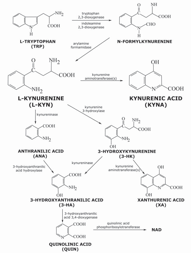 Fig. (1)