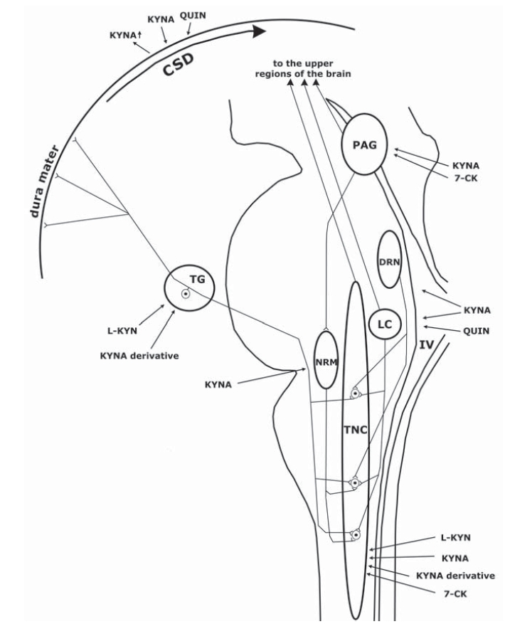 Fig. (3)