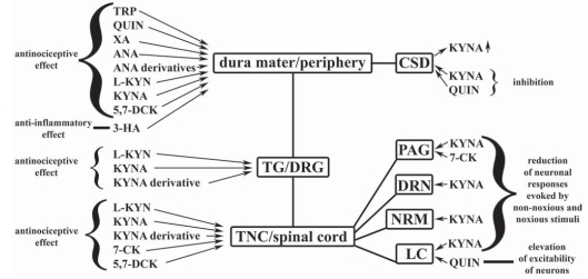 Fig. (2)