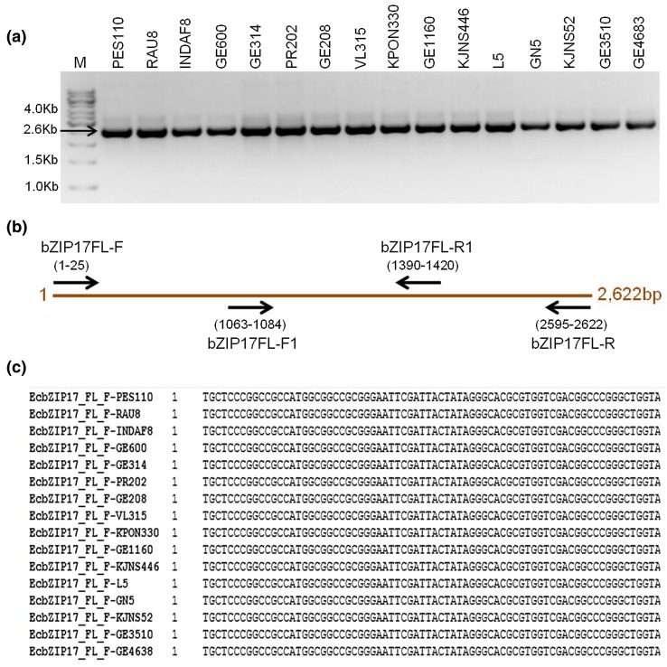 Fig. 4