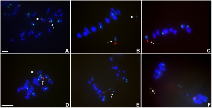 FIGURE 3