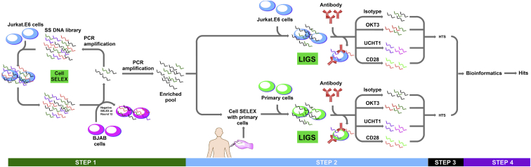 Figure 1