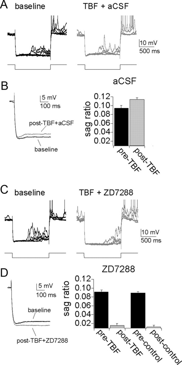 Figure 9.