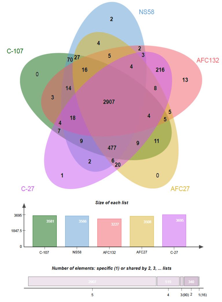 Figure 5