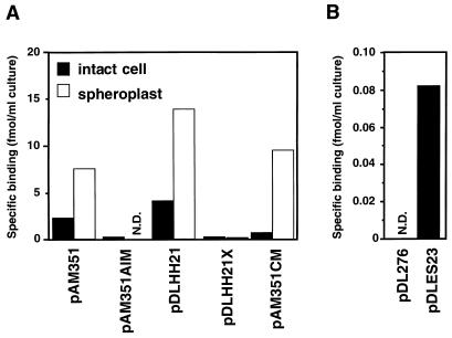 FIG. 6