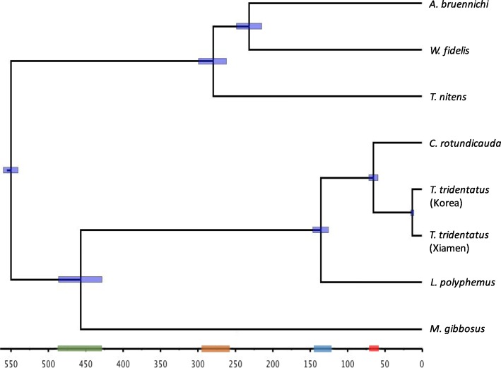 Fig. 2