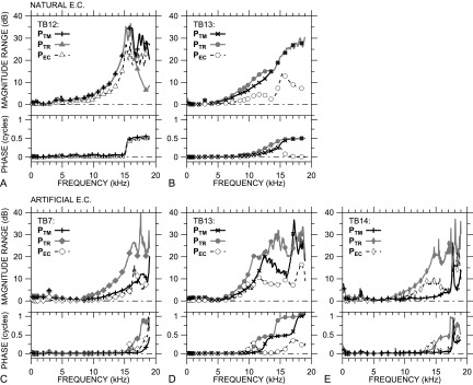 FIG. 6.