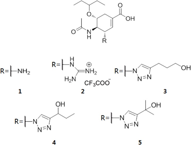 Fig 5