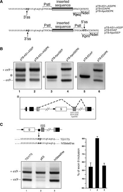 Figure 5.