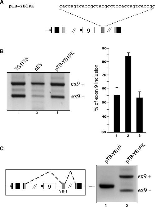 Figure 6.