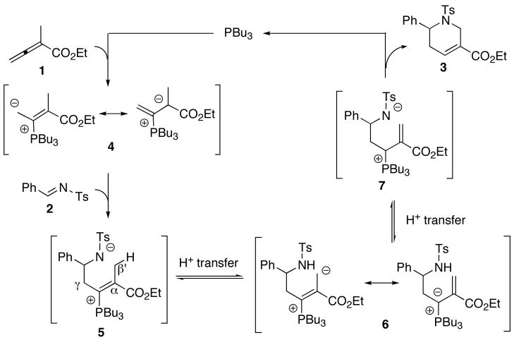 Scheme 1