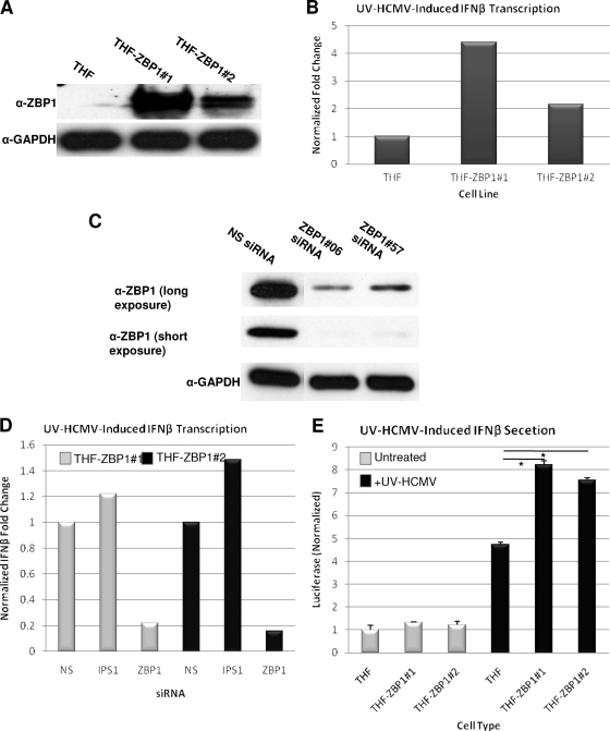 FIG. 4.