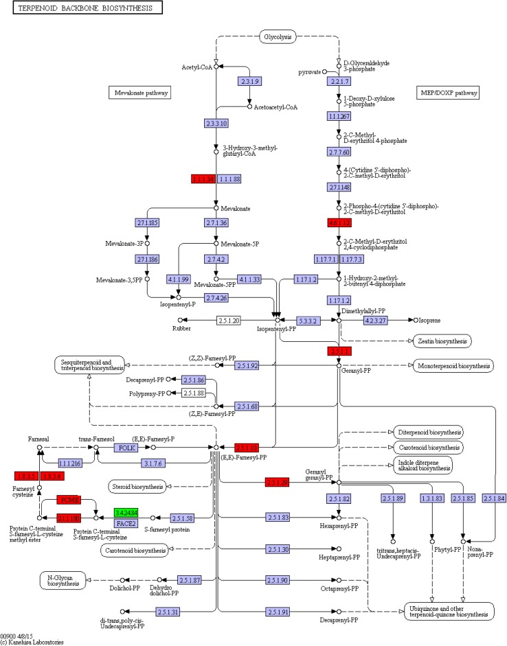 Fig. 7