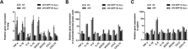 Fig. 6