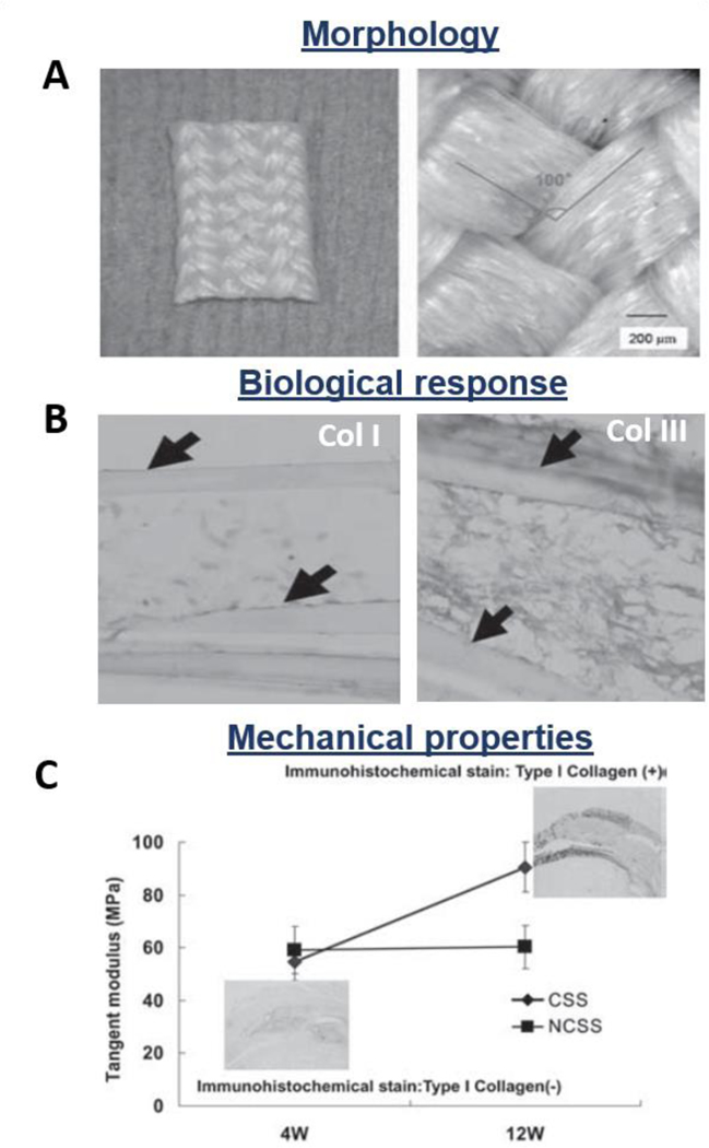 Figure 11.