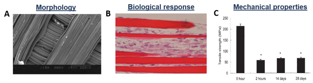 Figure 10.