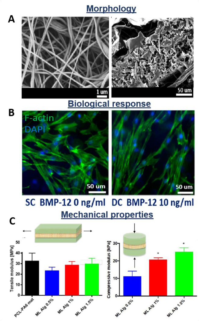 Figure 13.