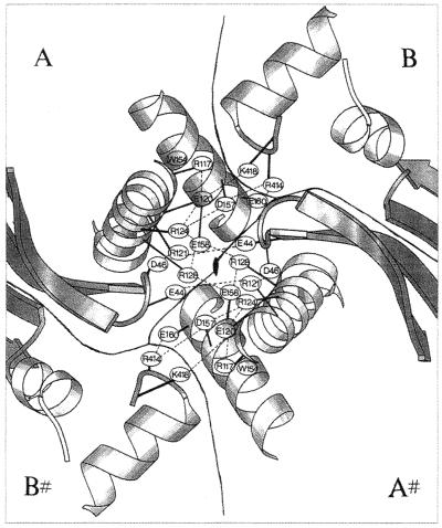 FIG. 5