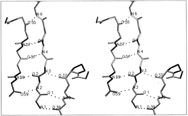 FIG. 7