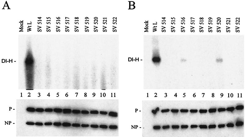 FIG. 5.