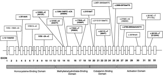 Figure  1