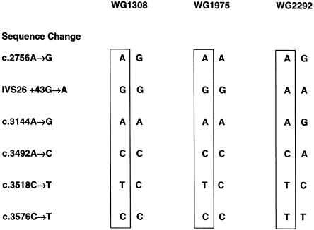 Figure  2