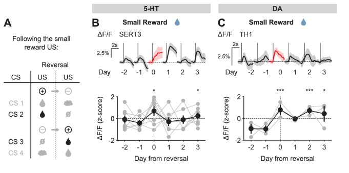 Figure 4—figure supplement 1.