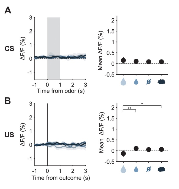 Figure 3—figure supplement 4.