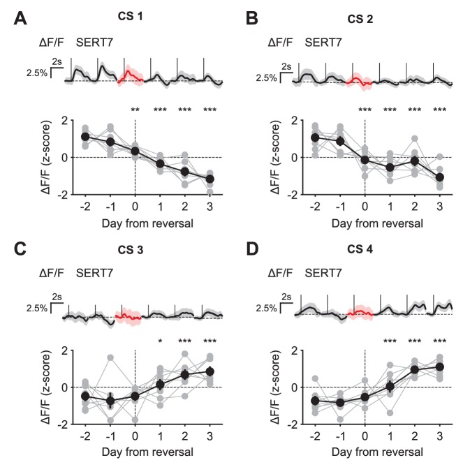 Figure 9—figure supplement 1.