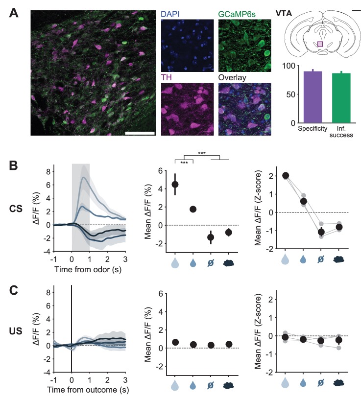 Figure 3—figure supplement 5.