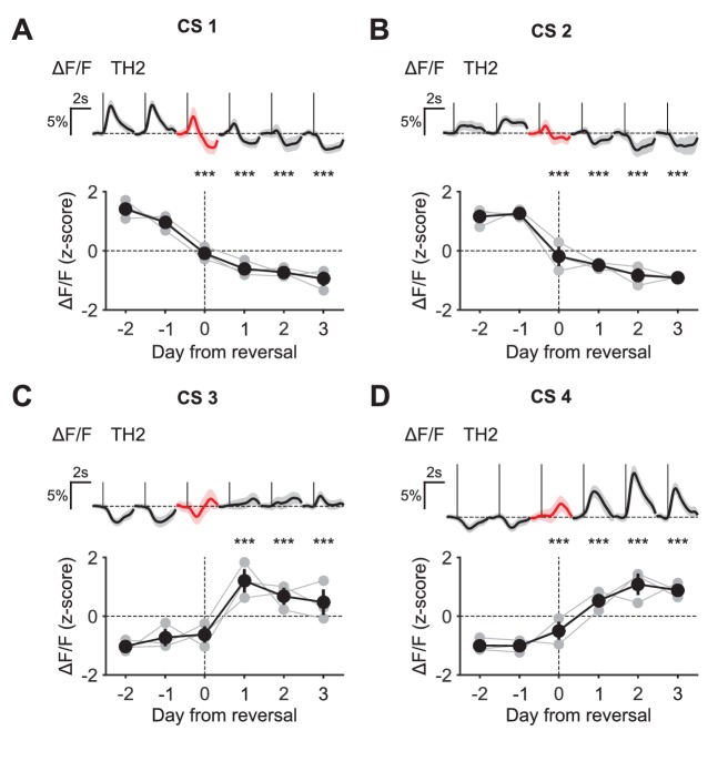 Figure 9—figure supplement 2.