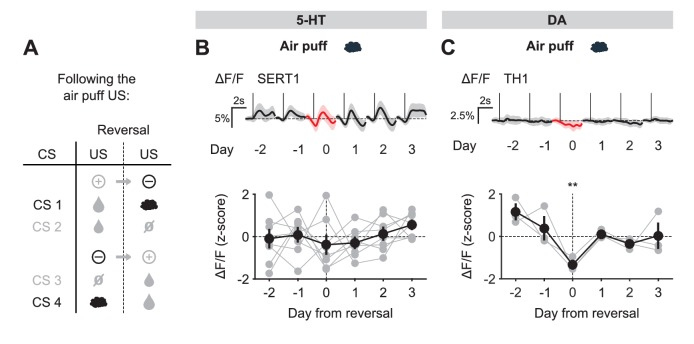 Figure 5—figure supplement 1.