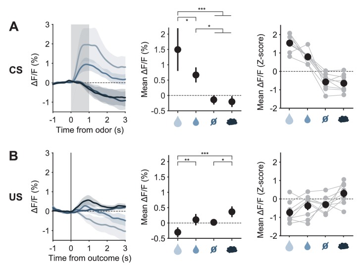 Figure 3—figure supplement 3.