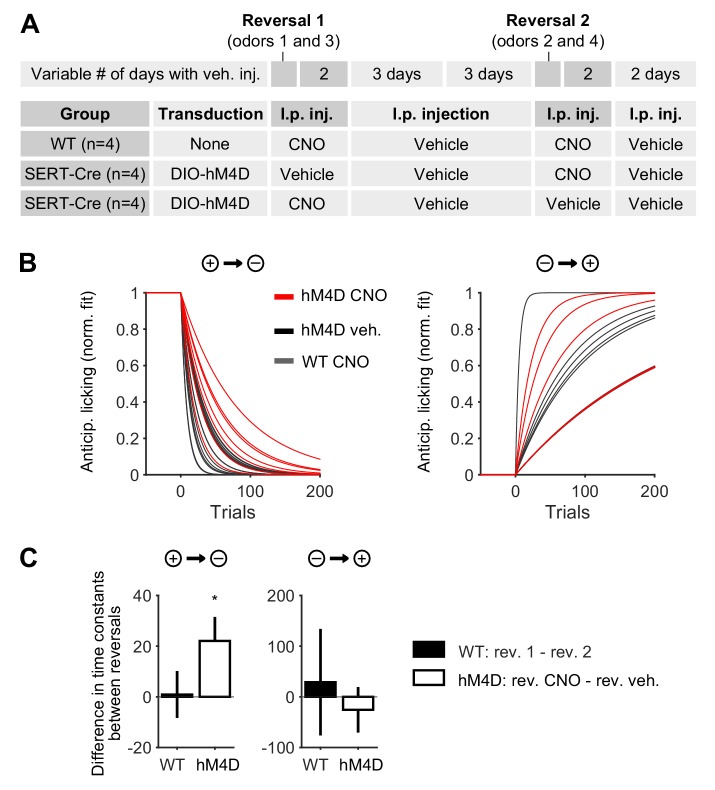 Figure 1—figure supplement 1.